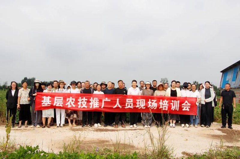 农产品初加工的重要性与发展趋势