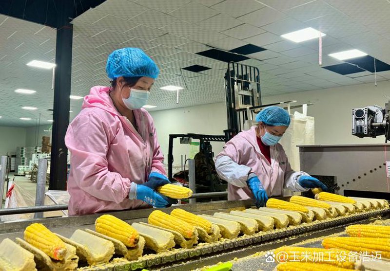 农产品初加工