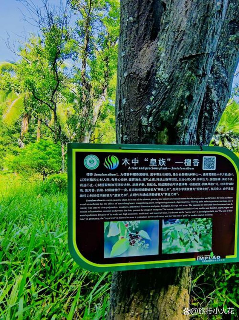 海南农业：绿色革命与综合开发