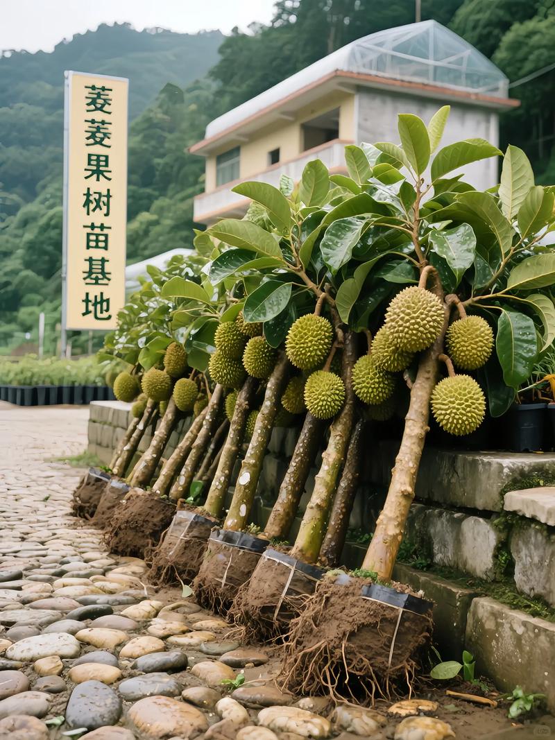 农业产业化项目